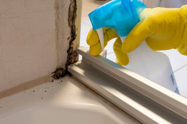 Water Damage Restoration in Icard, NC